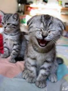 Other Wallpapers 0534